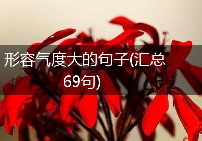 形容气度大的句子(汇总69句)