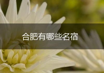 合肥有哪些名宿
