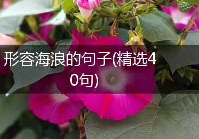 形容海浪的句子(精选40句)