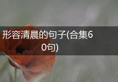 形容清晨的句子(合集60句)