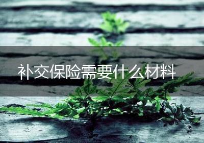 补交保险需要什么材料