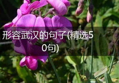 形容武汉的句子(精选50句)