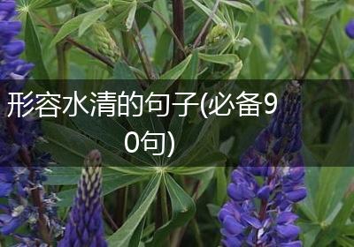 形容水清的句子(必备90句)