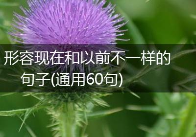 形容现在和以前不一样的句子(通用60句)