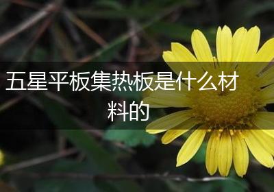 五星平板集热板是什么材料的