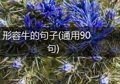 形容牛的句子(通用90句)