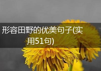 形容田野的优美句子(实用51句)