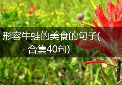 形容牛蛙的美食的句子(合集40句)