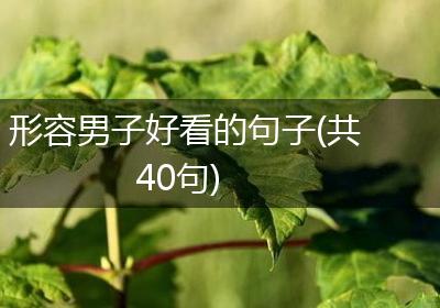形容男子好看的句子(共40句)