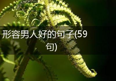 形容男人好的句子(59句)