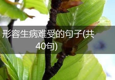 形容生病难受的句子(共40句)
