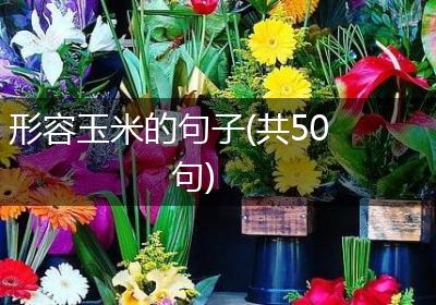 形容玉米的句子(共50句)