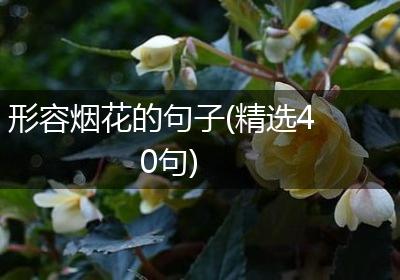 形容烟花的句子(精选40句)