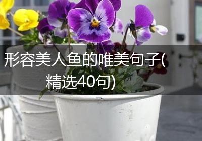 形容美人鱼的唯美句子(精选40句)