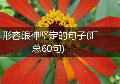 形容眼神坚定的句子(汇总60句)