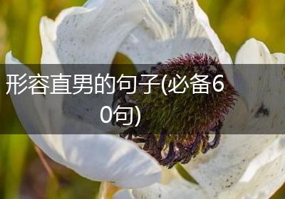 形容直男的句子(必备60句)