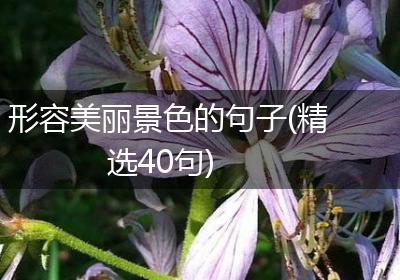 形容美丽景色的句子(精选40句)