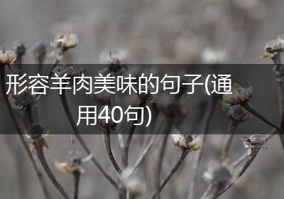 形容羊肉美味的句子(通用40句)