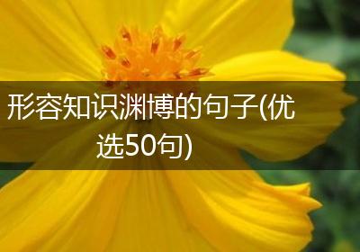 形容知识渊博的句子(优选50句)
