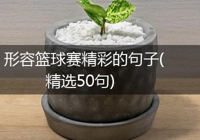 形容篮球赛精彩的句子(精选50句)