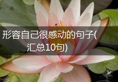 形容自己很感动的句子(汇总10句)