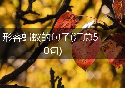 形容蚂蚁的句子(汇总50句)