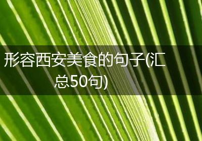 形容西安美食的句子(汇总50句)