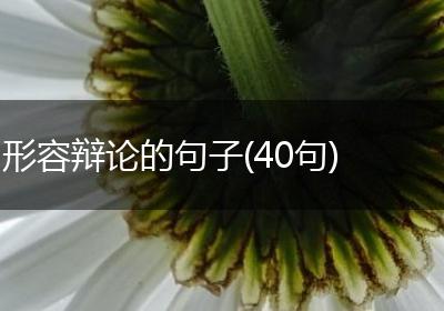 形容辩论的句子(40句)
