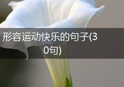 形容运动快乐的句子(30句)