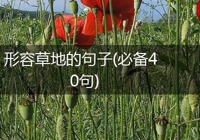 形容草地的句子(必备40句)