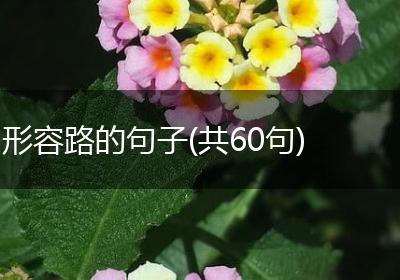 形容路的句子(共60句)