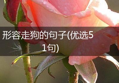 形容走狗的句子(优选51句)
