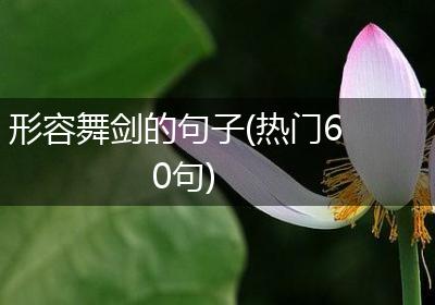 形容舞剑的句子(热门60句)