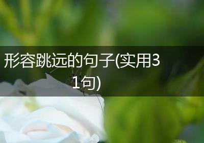 形容跳远的句子(实用31句)