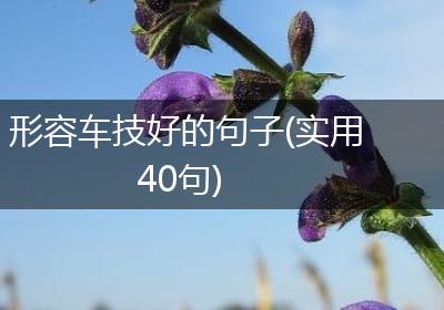 形容车技好的句子(实用40句)
