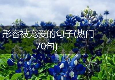 形容被宠爱的句子(热门70句)