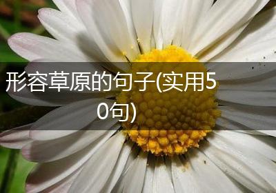 形容草原的句子(实用50句)