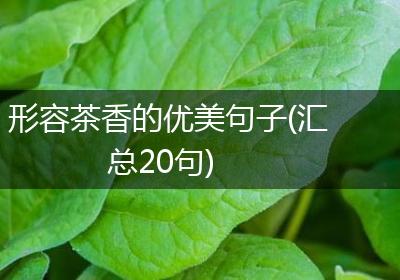 形容茶香的优美句子(汇总20句)
