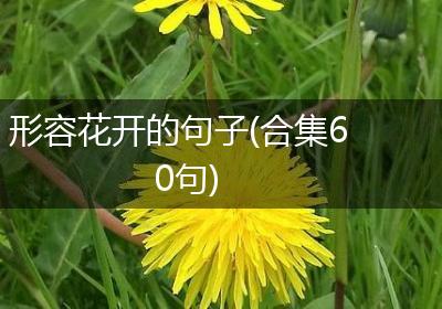 形容花开的句子(合集60句)