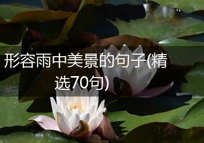 形容雨中美景的句子(精选70句)