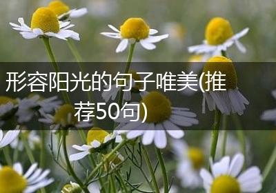 形容阳光的句子唯美(推荐50句)
