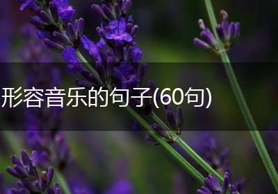 形容音乐的句子(60句)