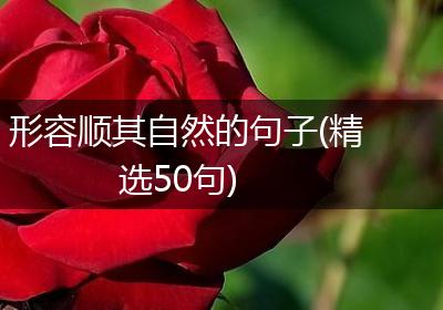形容顺其自然的句子(精选50句)