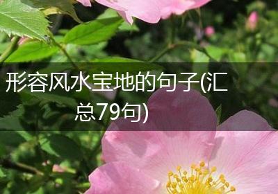 形容风水宝地的句子(汇总79句)