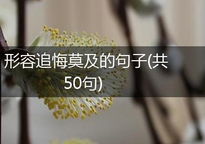 形容追悔莫及的句子(共50句)