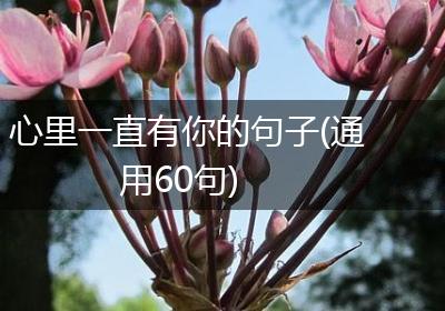 心里一直有你的句子(通用60句)