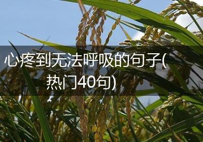 心疼到无法呼吸的句子(热门40句)