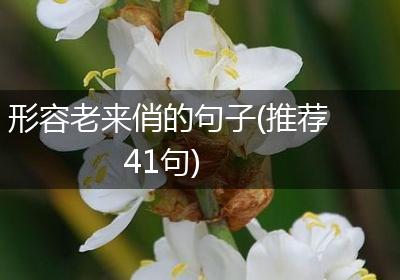 形容老来俏的句子(推荐41句)