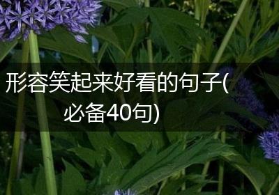 形容笑起来好看的句子(必备40句)