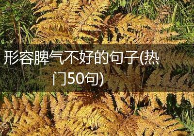 形容脾气不好的句子(热门50句)